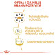 Royal Canin Chihuahua Adult – Hrană Uscată pentru Câini Adulți din Rasa Chihuahua – 1,5 kg